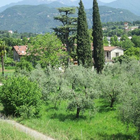 Agriturismo Bonu Gabriele 살로 외부 사진